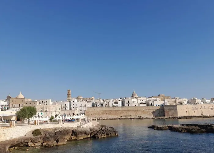 Go To Monopoli