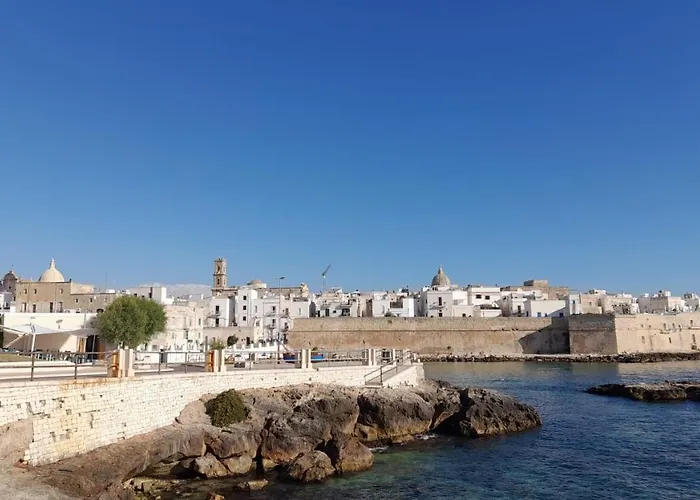 Go To Monopoli
